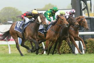 Miss Aotearoa (NZ) claims the first Leg of the 2020-21 NZB Filly of the Year Series. 